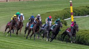 Lake Placid Stakes, Victory Ride Stakes, Saratoga Race Course, Breeders' Cup Classic, horse racing, America's Best Racing, ABR